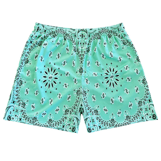 Mint Paisley Mesh Shorts